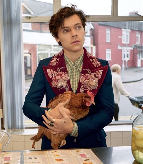 harry style fw19 gucci fattoria|Harry Styles stars in the Gucci's Men's Tailoring Pre.